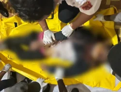 Pembunuhan Sadis di Jayapura: Guru ASN Ditemukan Tewas di Laundry Miliknya